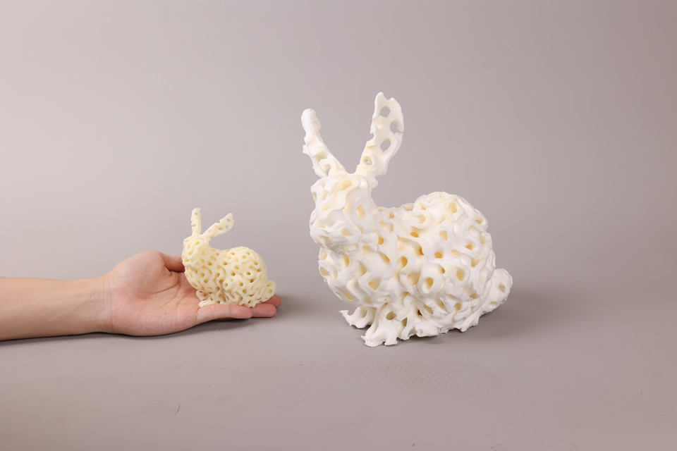 bunny