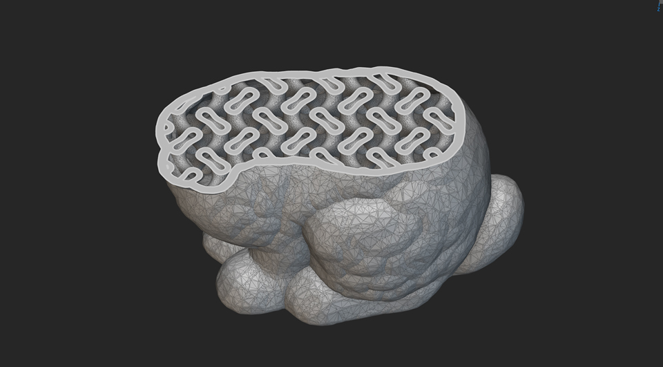 Eggshell